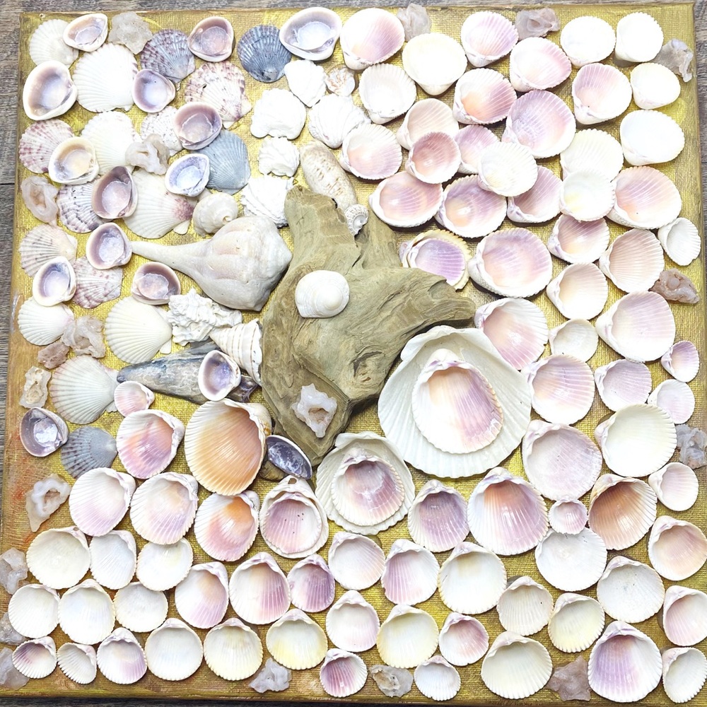 ***Seashell, drift wood & Quartz Mosaic Wall Hanging